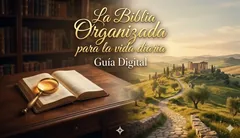 Módulo de Organización